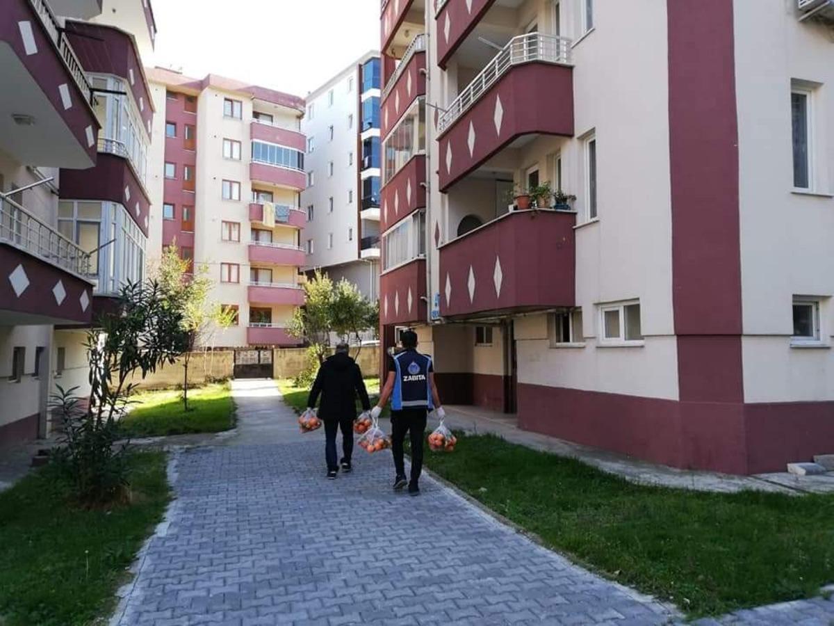 T&uuml;rkeli&rsquo;de 2 bin haneye meyve dağıtımı