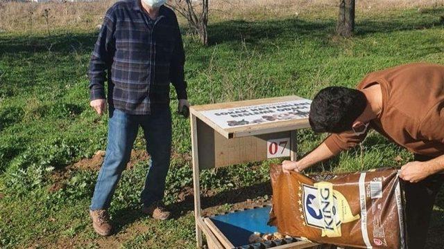 Sokağa çıkma kısıtlamasında can dostlar unutulmadı