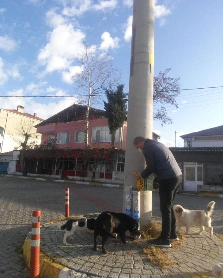 Sokağa çıkma kısıtlamasında can dostlar unutulmadı G2