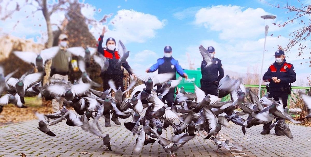 Polis ekipleri sokak hayvanlarını unutmadı