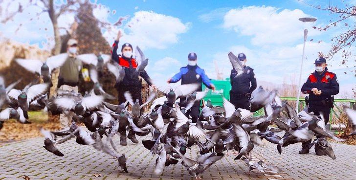 Polis ekipleri sokak hayvanlarını unutmadı G1