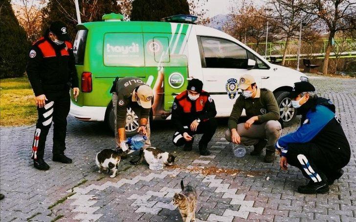 Polis ekipleri sokak hayvanlarını unutmadı G2