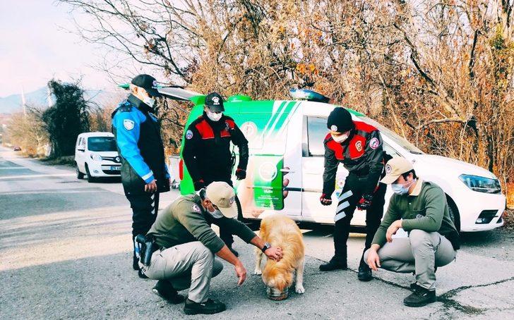 Polis ekipleri sokak hayvanlarını unutmadı G3