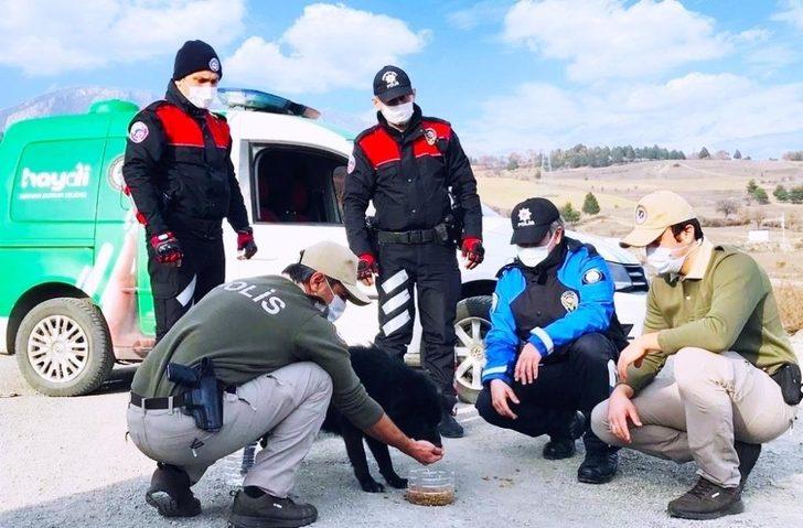 Polis ekipleri sokak hayvanlarını unutmadı G4