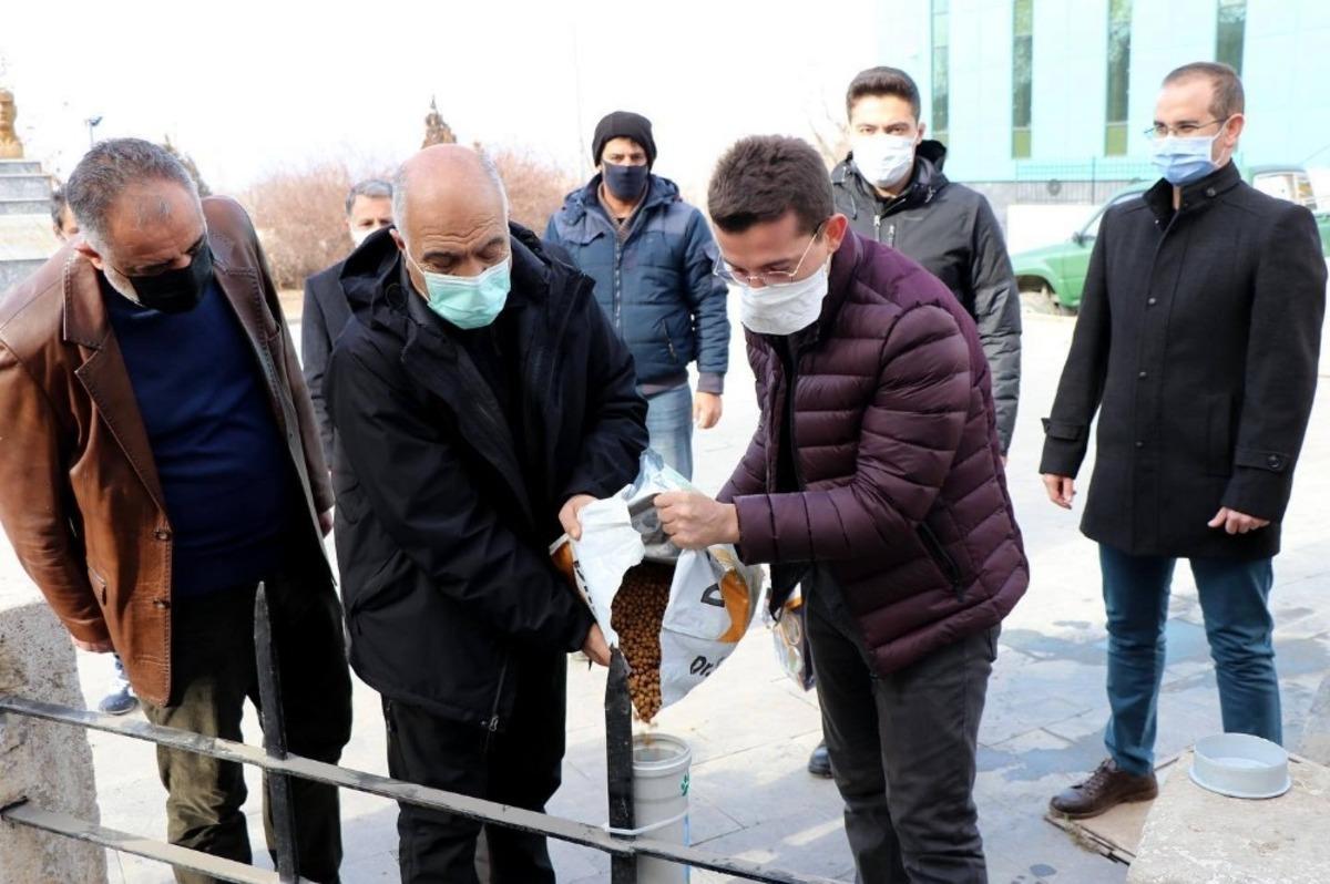 İli&ccedil;&rsquo;te sokak hayvanları unutulmadı