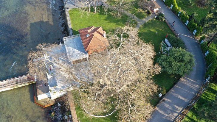 Atatürk'ün mirası 'Yürüyen Köşk' dünyaya böyle tanıtılacak  G1