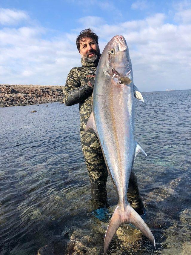 Rekortmen dalgıç, 27 kiloluk dev akyayı avladı