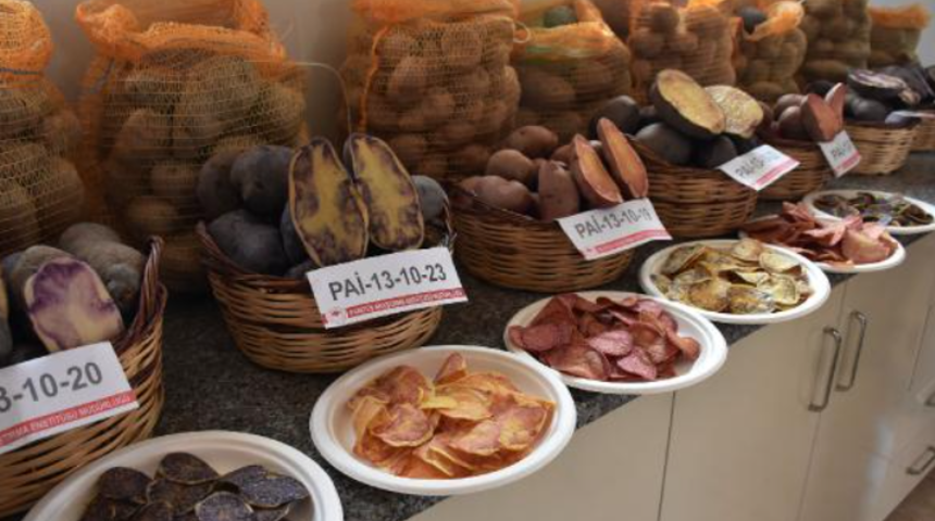 Yerli ve milli! 10 renkte cipslik patates 