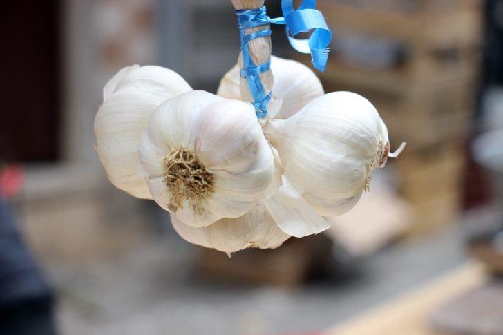 Aşılar Türkiye’ye geldi sarımsağın da ateşi düştü G2