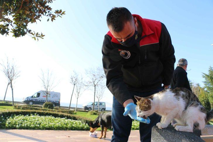 Kartal Belediyesi, 4 günlük kısıtlamada sokak hayvanlarını unutmadı G2