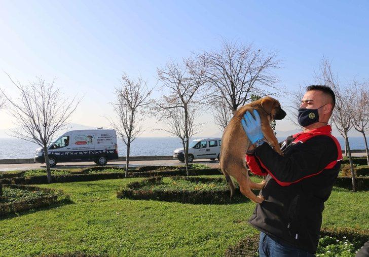 Kartal Belediyesi, 4 günlük kısıtlamada sokak hayvanlarını unutmadı G3