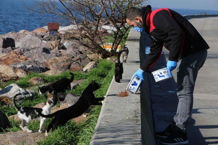 Kartal Belediyesi, 4 günlük kısıtlamada sokak hayvanlarını unutmadı G4