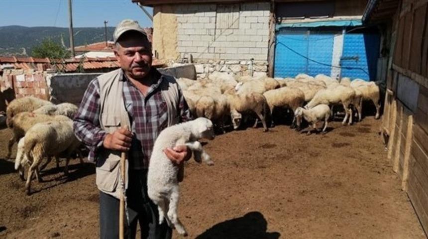 Isparta’da 272 köylüye 7 milyon 134 bin TL Orköy kredi desteği sağlandı