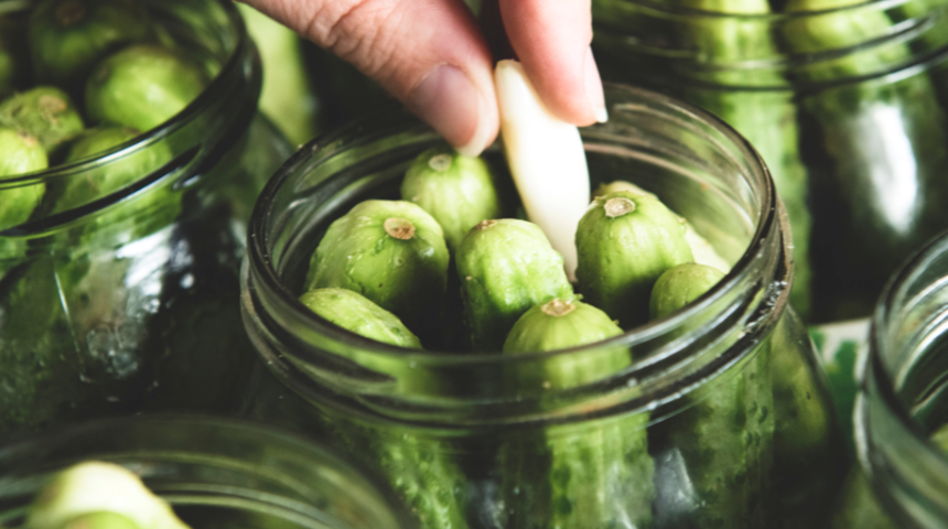 Çıtır çıtır turşu kurmanın püf noktası! Salatalığın ucunu kesip koyduğunuzda...