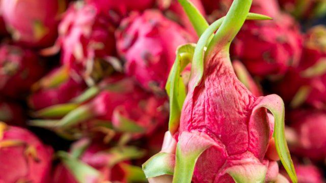 Bağışıklık sistemini çelik gibi yapıyor! Ejder meyvesinin bilinmeyen faydaları