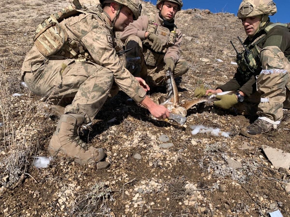 Jandarma komandolardan yaralı şahine şefkat eli