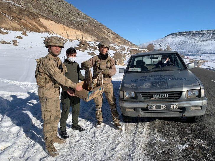 Jandarma komandolardan yaralı şahine şefkat eli G2