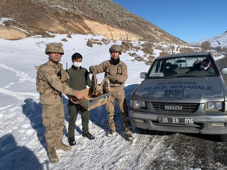 Jandarma komandolardan yaralı şahine şefkat eli G3