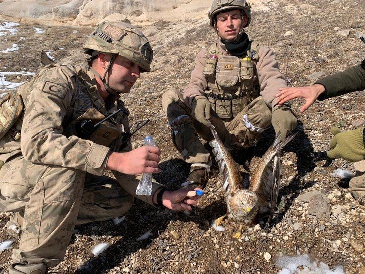 Jandarma komandolardan yaralı şahine şefkat eli G4