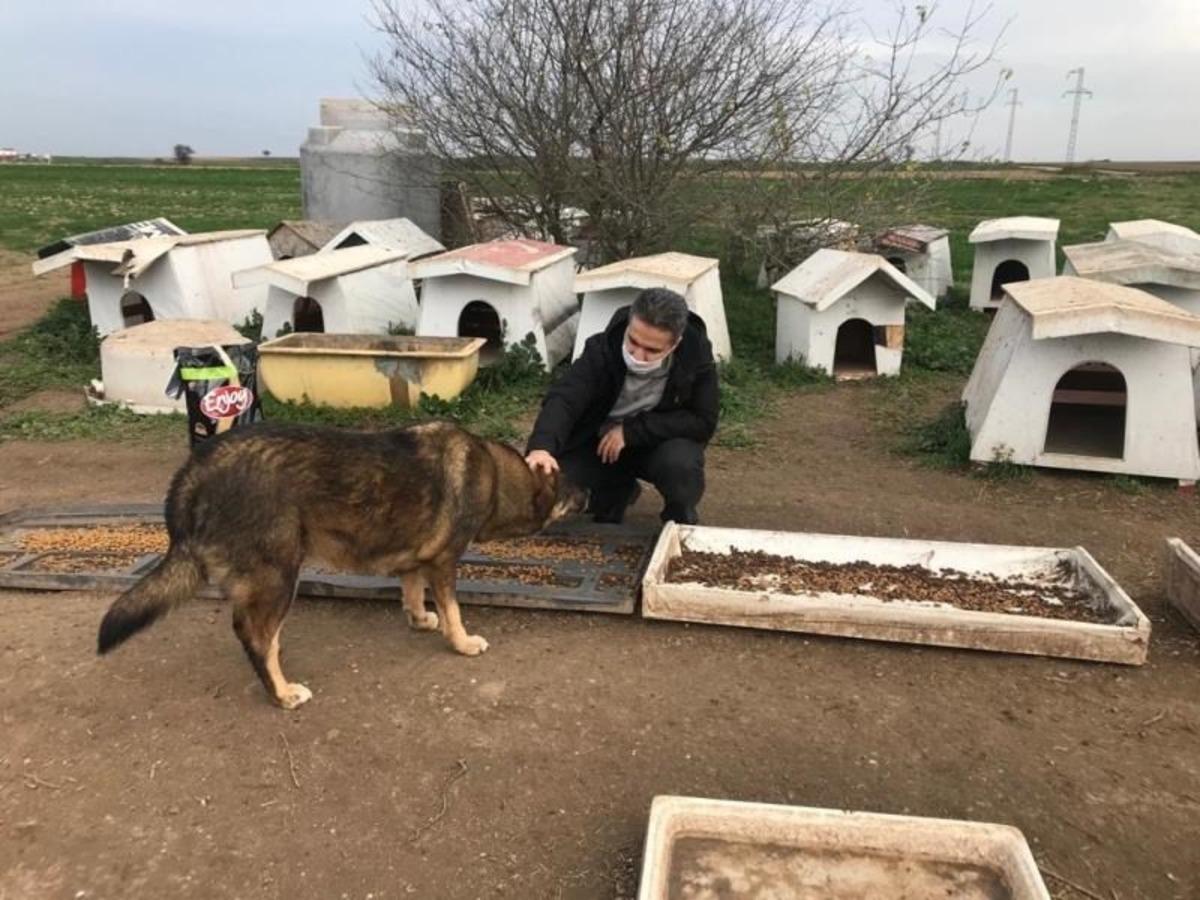 Kaymakam Taş&ccedil;ı ve Başsavcı Yiğiter, sokak hayvanlarını unutmadı