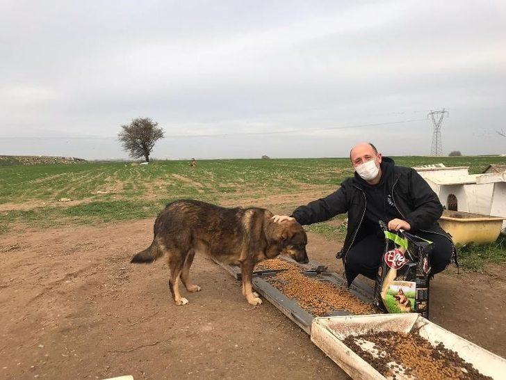 Kaymakam Taşçı ve Başsavcı Yiğiter, sokak hayvanlarını unutmadı G3