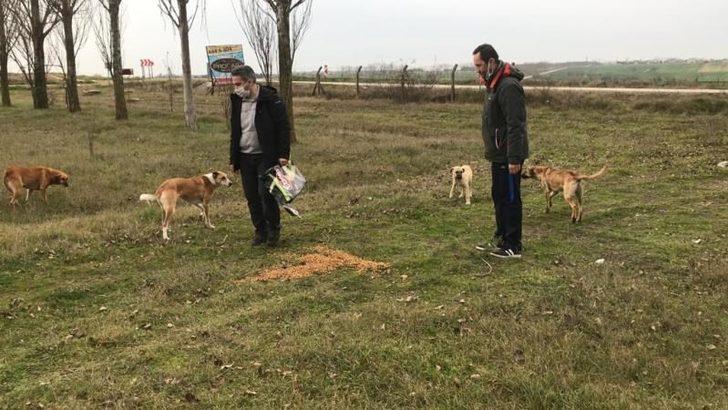 Kaymakam Taşçı ve Başsavcı Yiğiter, sokak hayvanlarını unutmadı G4