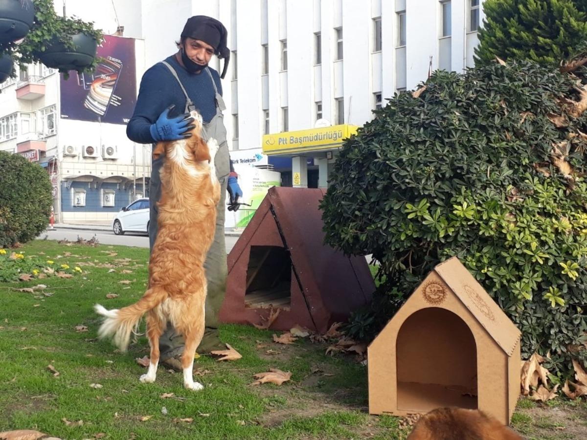 Sinop&rsquo;ta sokak hayvanları bu kış &uuml;ş&uuml;meyecek