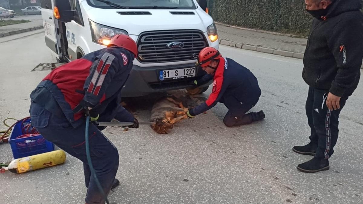 Servis minib&uuml;s&uuml;n&uuml;n &ccedil;arparak altına sıkıştırdığı k&ouml;peği itfaiye kurtardı