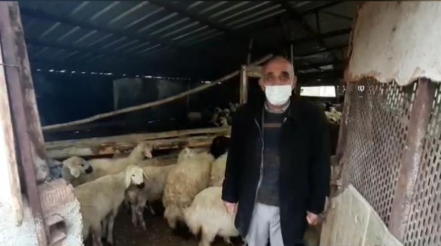 18 hayvanı &ccedil;alınan besicinin y&uuml;z&uuml;n&uuml; jandarma g&uuml;ld&uuml;rd&uuml;