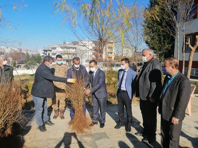 Kahta ilçesinde nar fidanları dağıtıldı