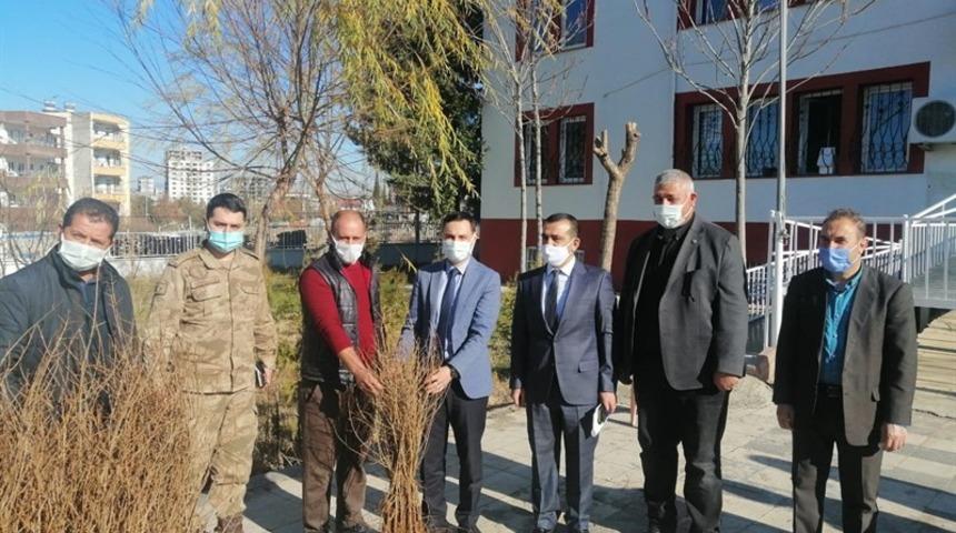 Kahta ilçesinde nar fidanları dağıtıldı