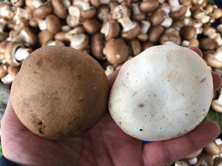 Tadına bakan tekrar alıyor G1