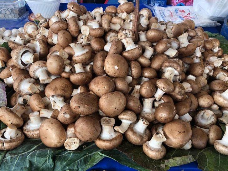 Tadına bakan tekrar alıyor G3