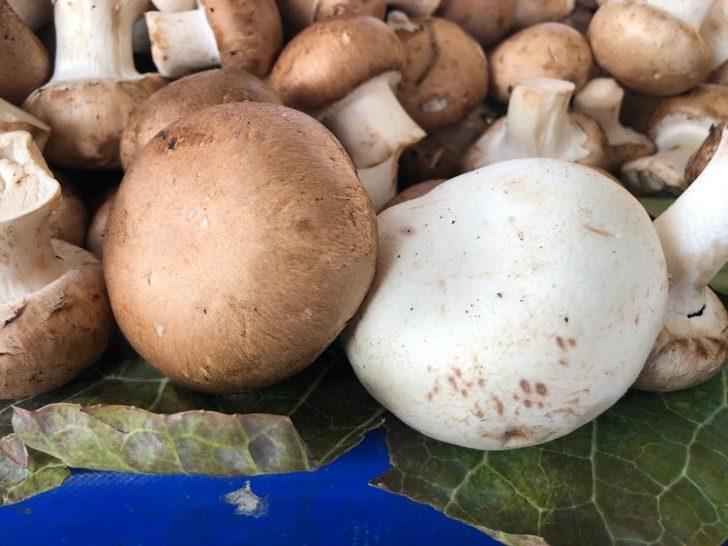 Tadına bakan tekrar alıyor G5