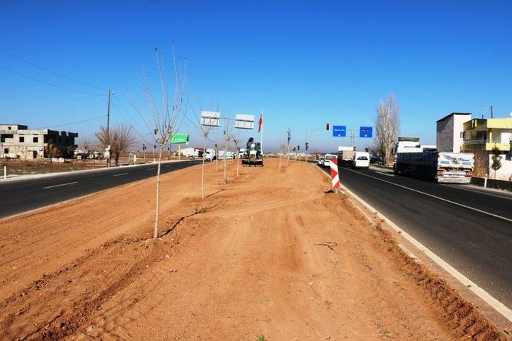 Akçakale’de yeşil alan çalışması G2