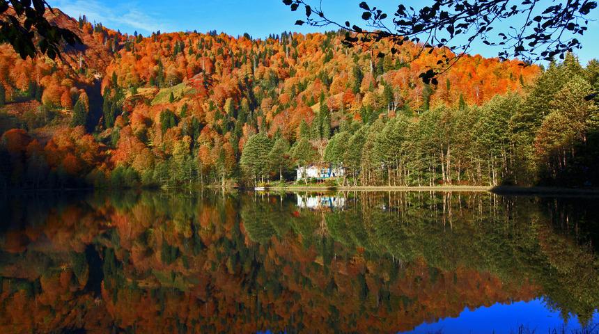 Borçka Karagöl nerede, nasıl gidilir? Borçka Karagöl Tabiat Parkı