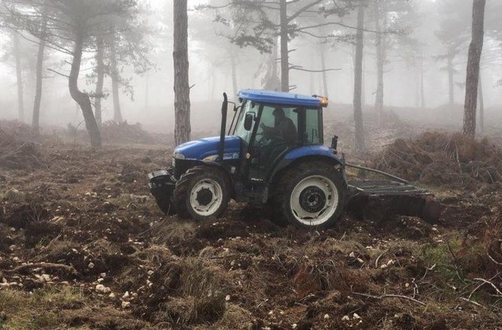 Bolu Aladağ’da doğal gençleştirme çalışmaları tamamlandı G1