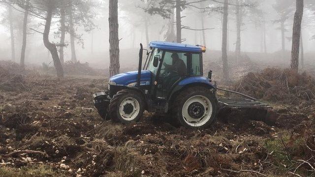 Bolu Aladağ’da doğal gençleştirme çalışmaları tamamlandı