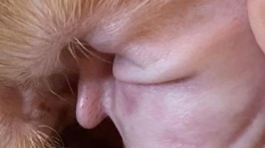 Trump’ın suretine benzetilen köpeğin kulağı görenleri şaşırttı