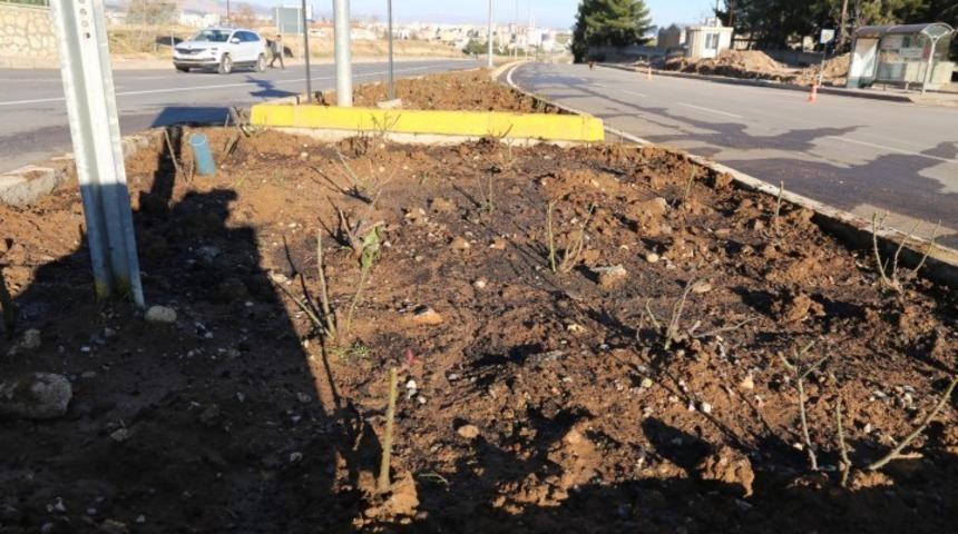 Adıyaman ref&uuml;jlerinde g&uuml;ller a&ccedil;acak