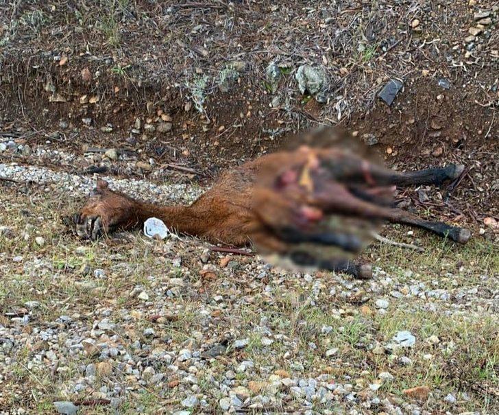 Atla çarpışan araç hurdaya döndü G1