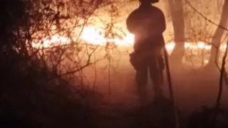 Adil Öksüz'ün çanta gömdüğü iddia edilen bölgede orman yangını