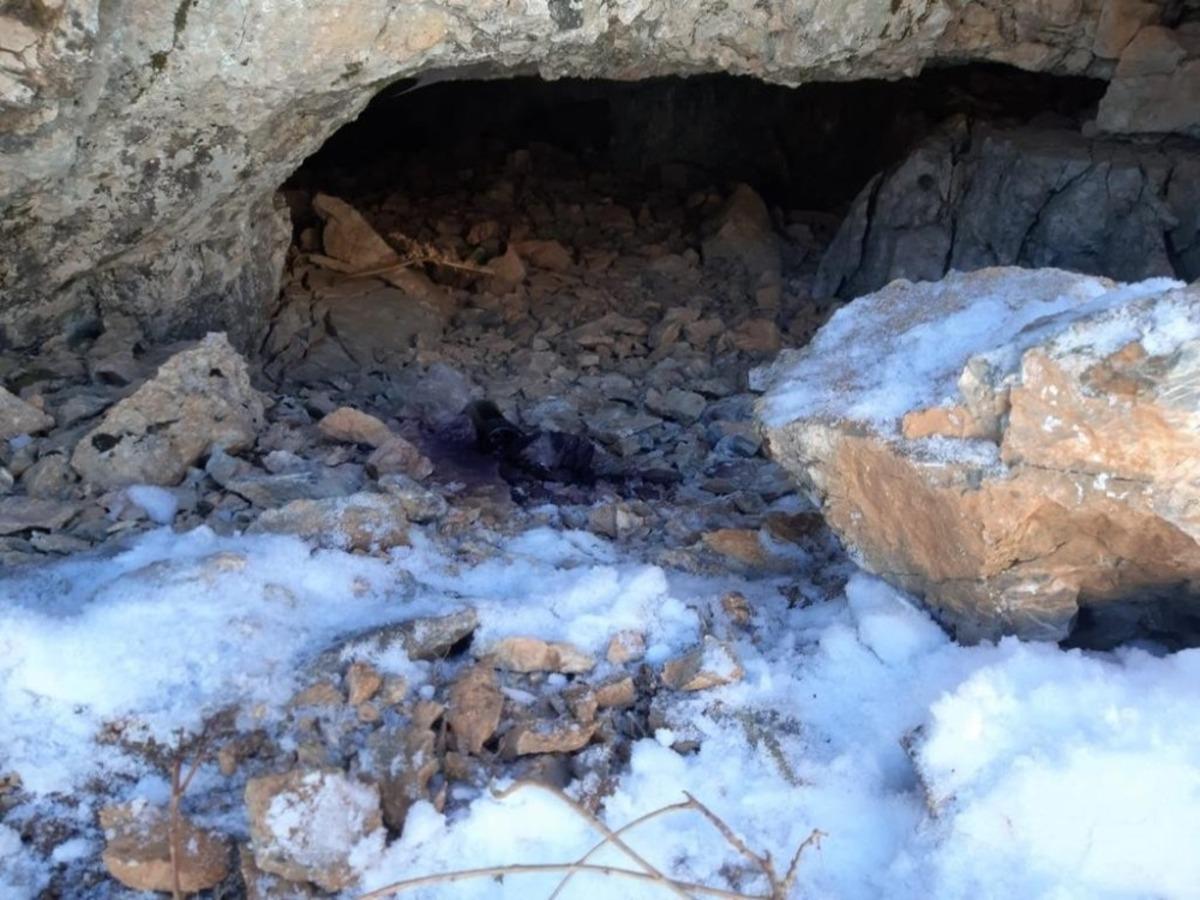 Bitlis&rsquo;te 250 kilo amonyum nitrat ile yaşam malzemesi ele ge&ccedil;irildi