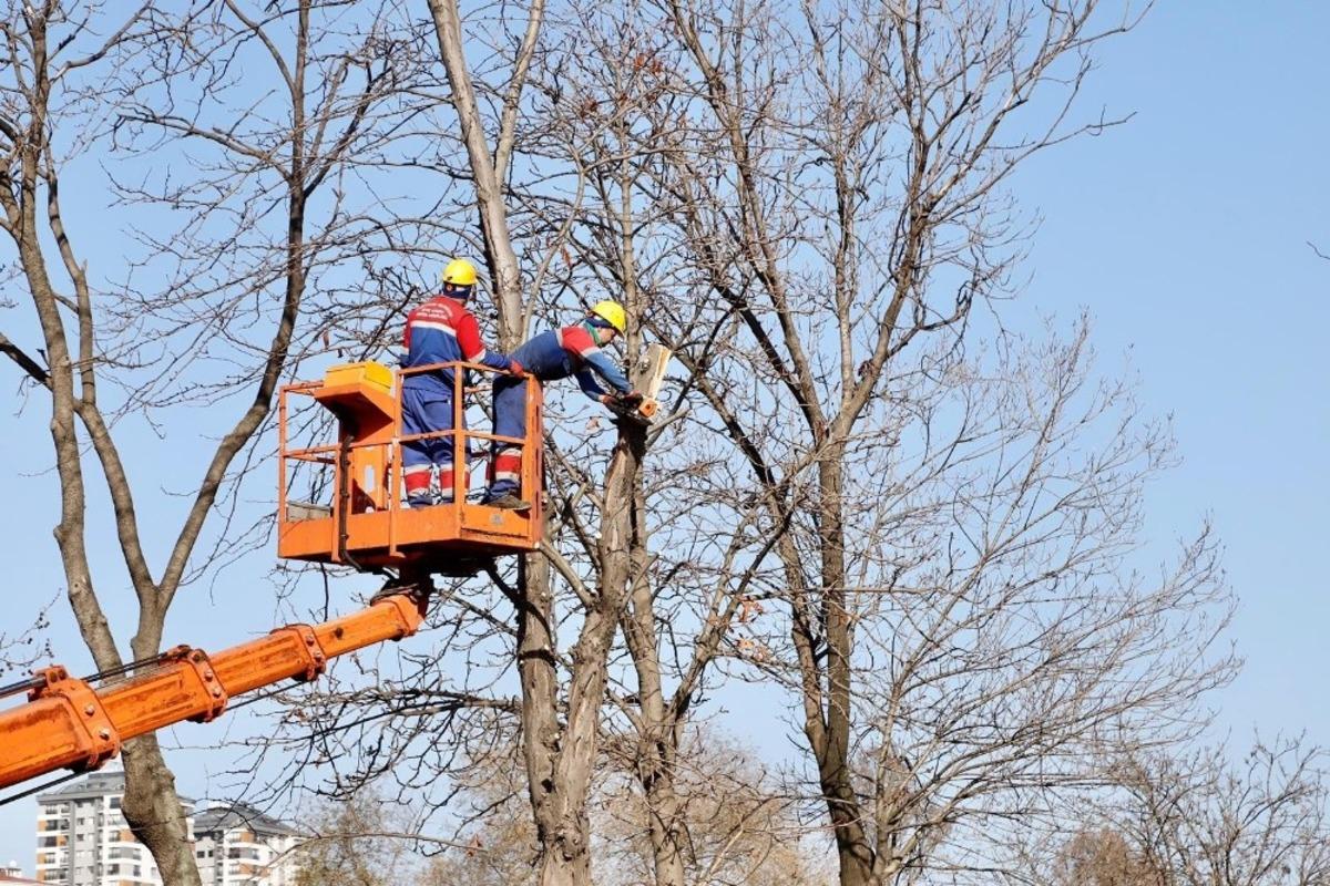 Kağıthane&rsquo;de ağa&ccedil;ların budama işlemleri devam ediyor