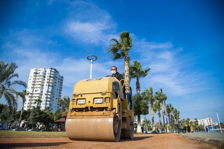 Sahildeki palmiyeler budanıyor G4