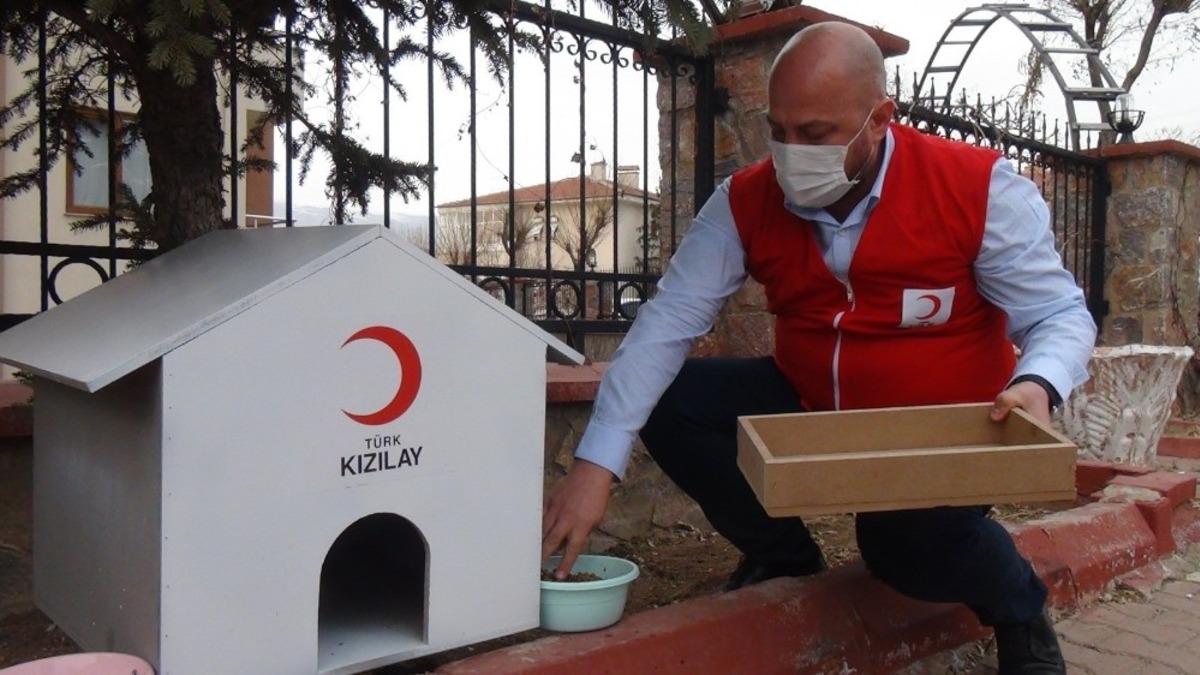 Kızılay, sokak hayvanlarına yuva yaptı