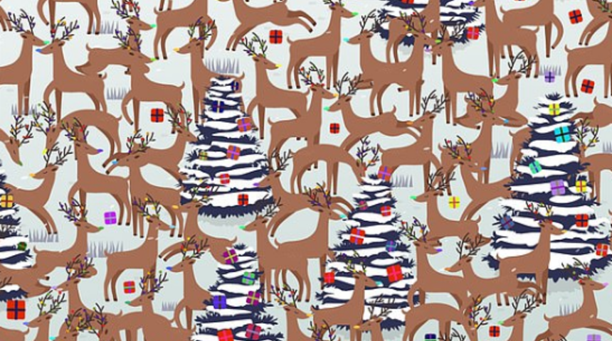 Muhtemelen bu resimdeki kırmızı burunlu Ren geyiğini bulamazsınız!