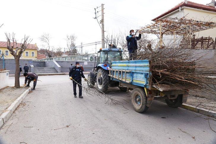 Karaman’da budanan ağaçlar gübre olarak kullanılıyor G2