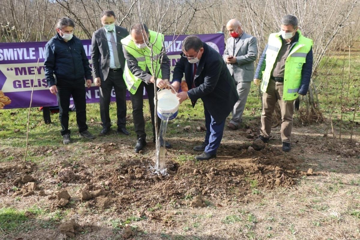 Ordu&rsquo;da her il&ccedil;eye ayrı meyve