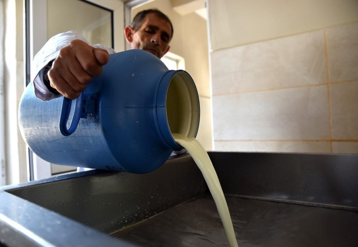 G&uuml;nde 3 ton s&uuml;t işleniyor